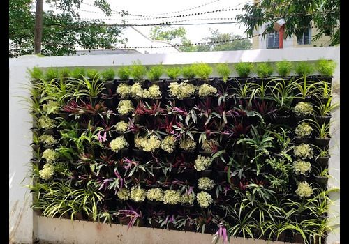 Terrace Garden Services Provider in Noida